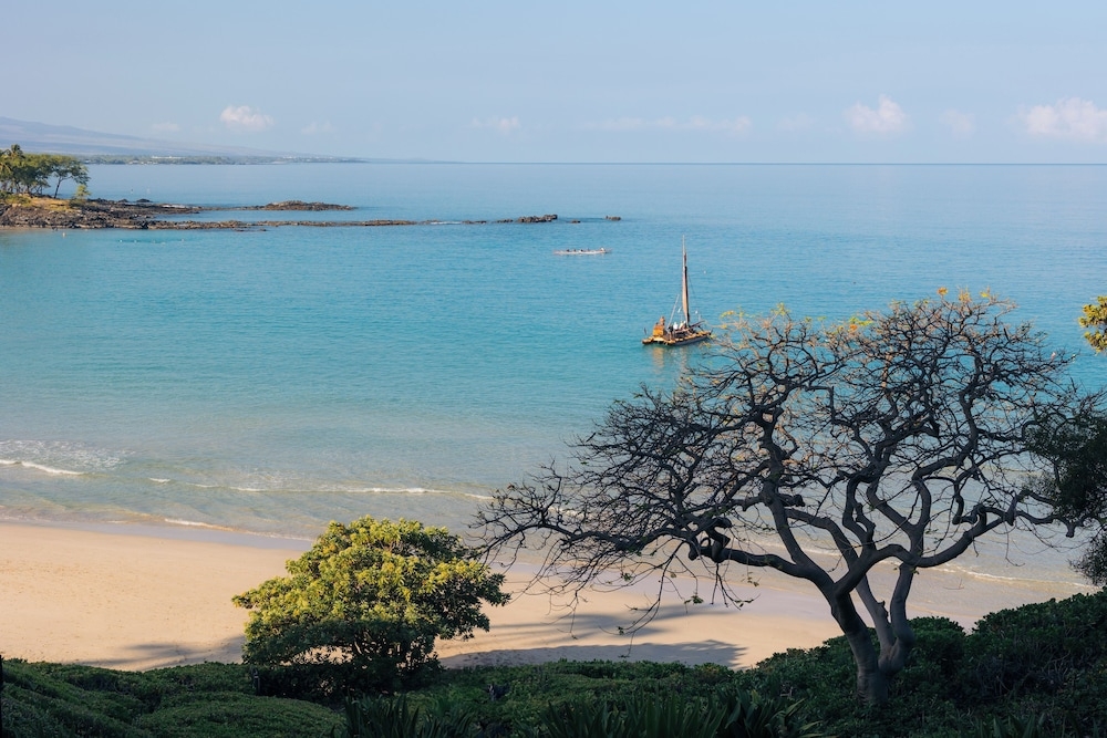 BBQ/피크닉 공간