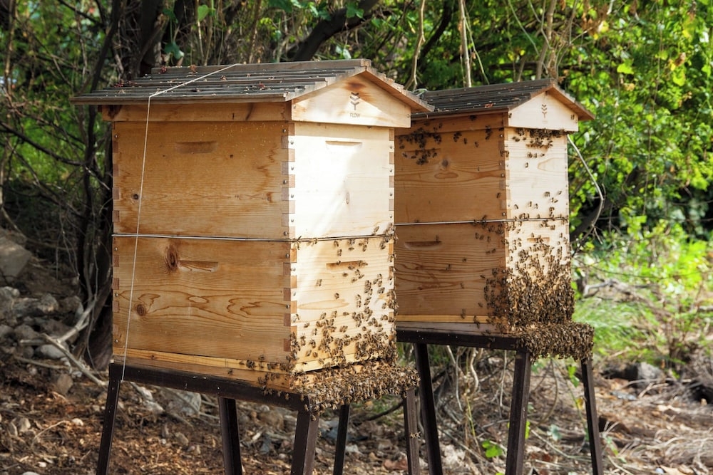 숙박 시설 내 편의 시설/서비스