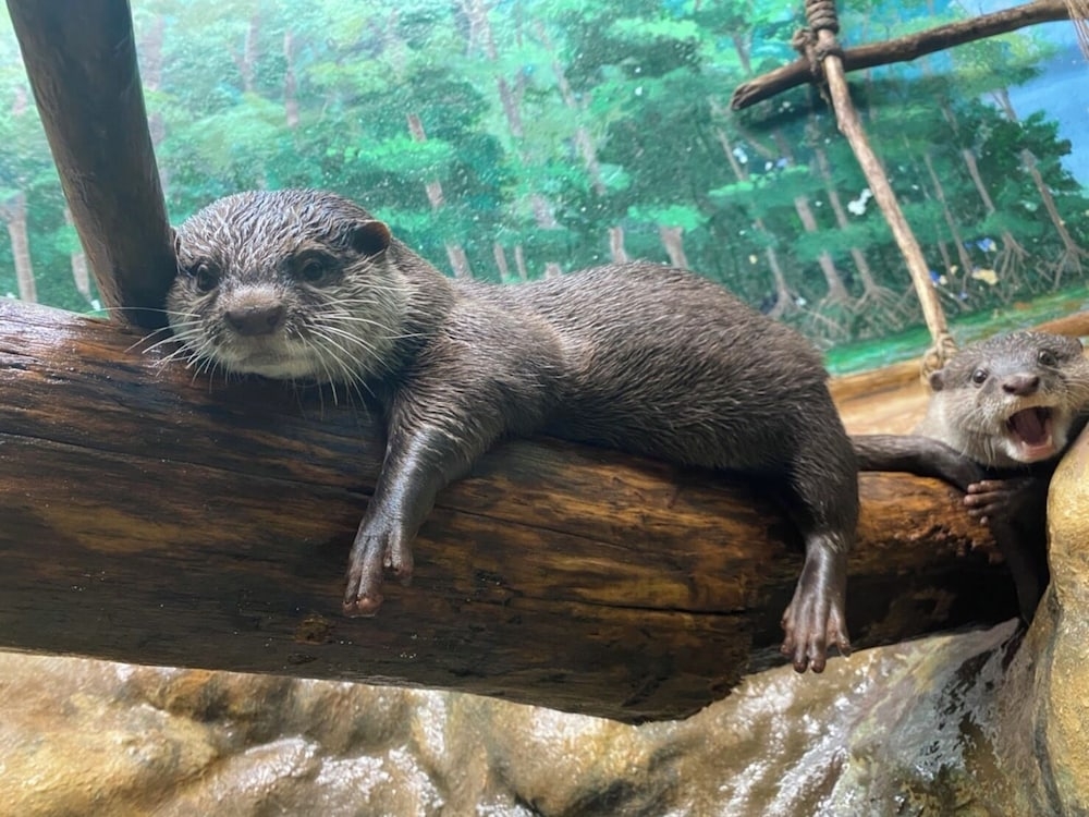 어린이 놀이 공간 - 실내