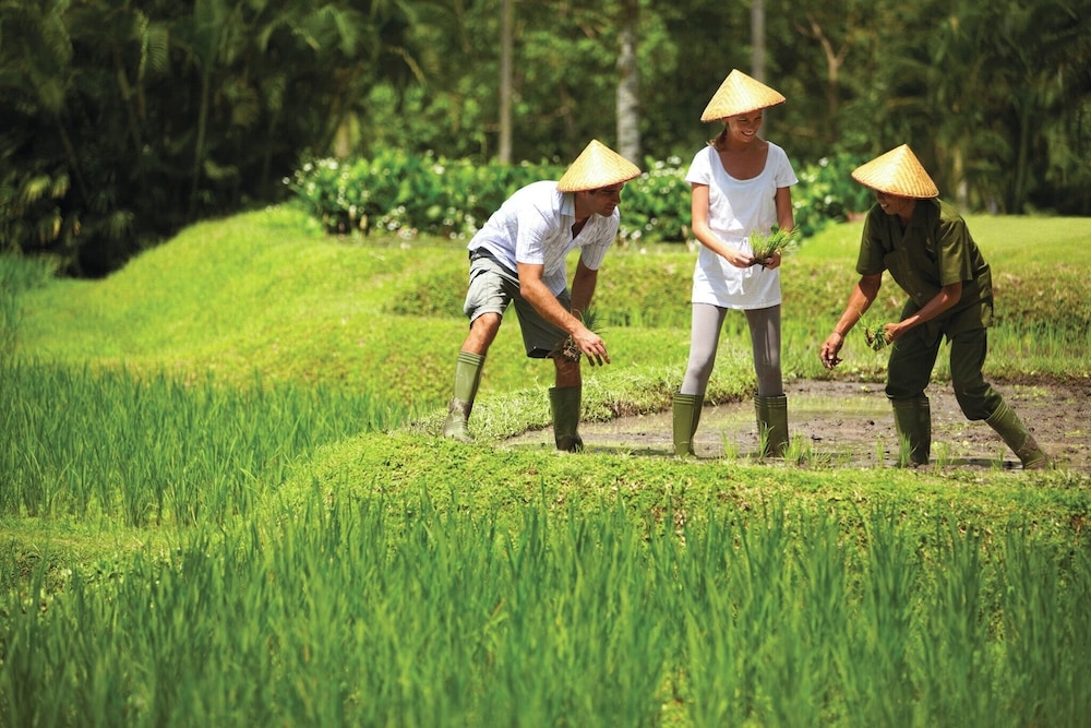 숙박 시설 내 편의 시설/서비스