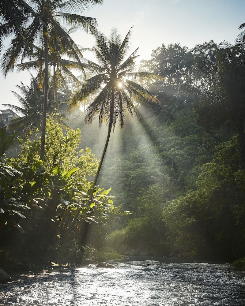 숙박 시설의 전망