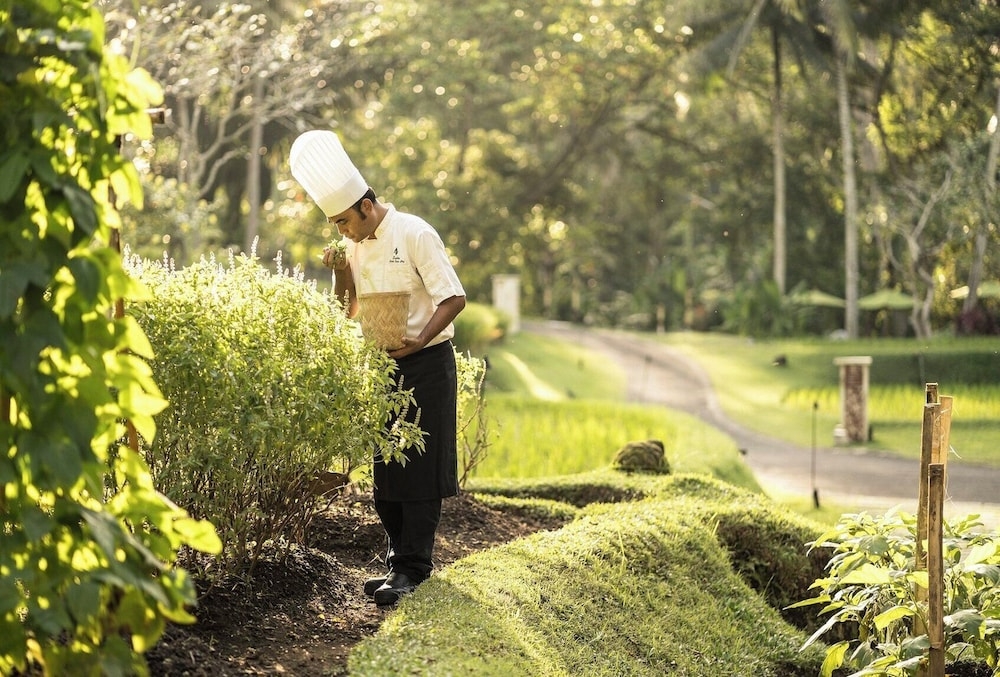 숙박 시설 내 편의 시설/서비스
