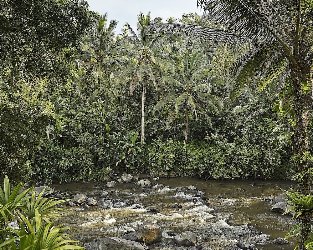 숙박 시설의 전망