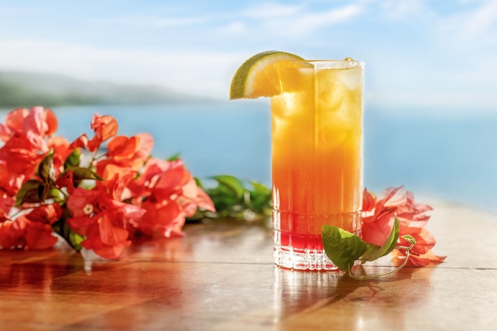 바(숙박 시설 내)