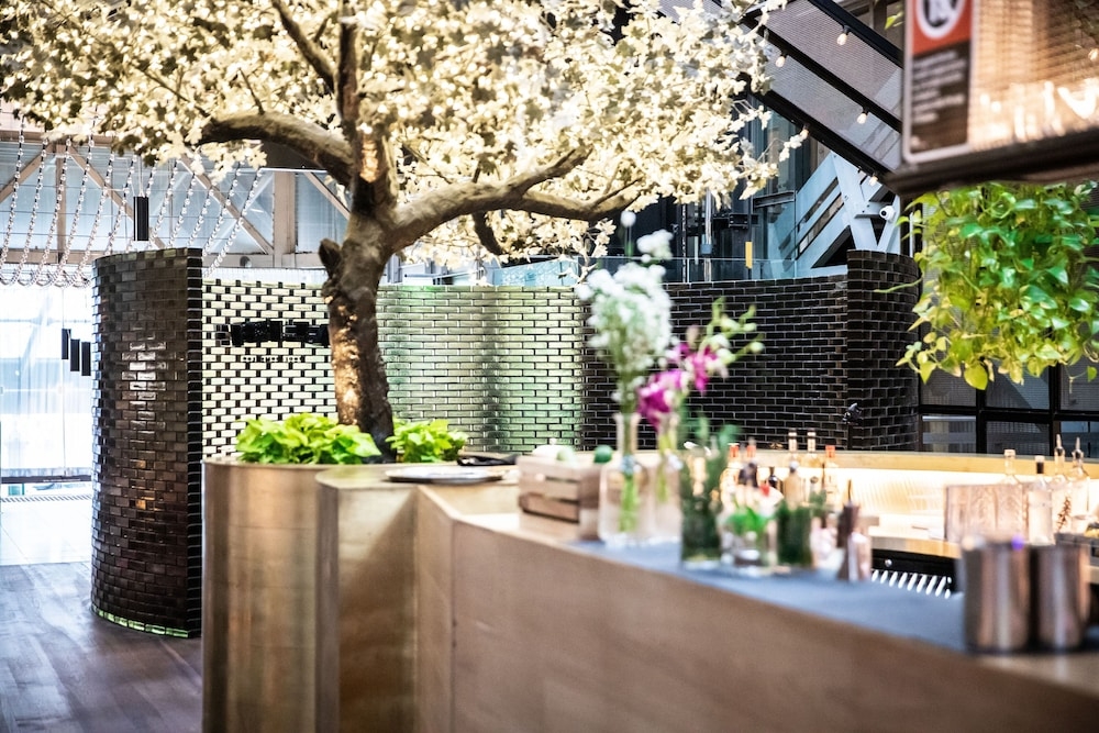 바(숙박 시설 내)