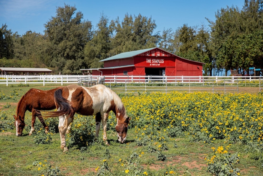 숙박 시설 내 편의 시설/서비스