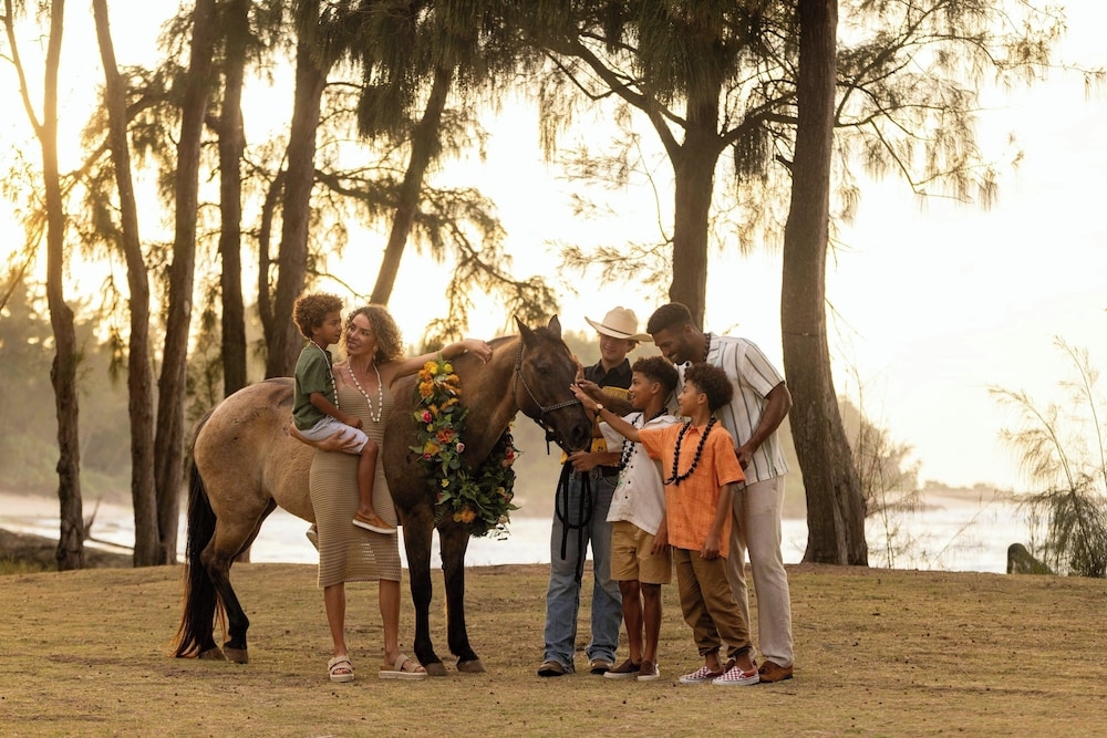 숙박 시설 내 편의 시설/서비스