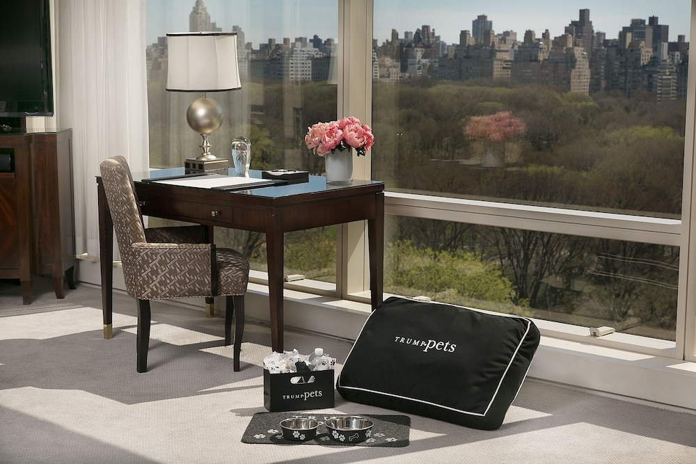 반려동물 동반 가능