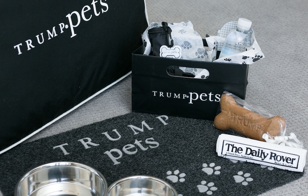 반려동물 동반 가능