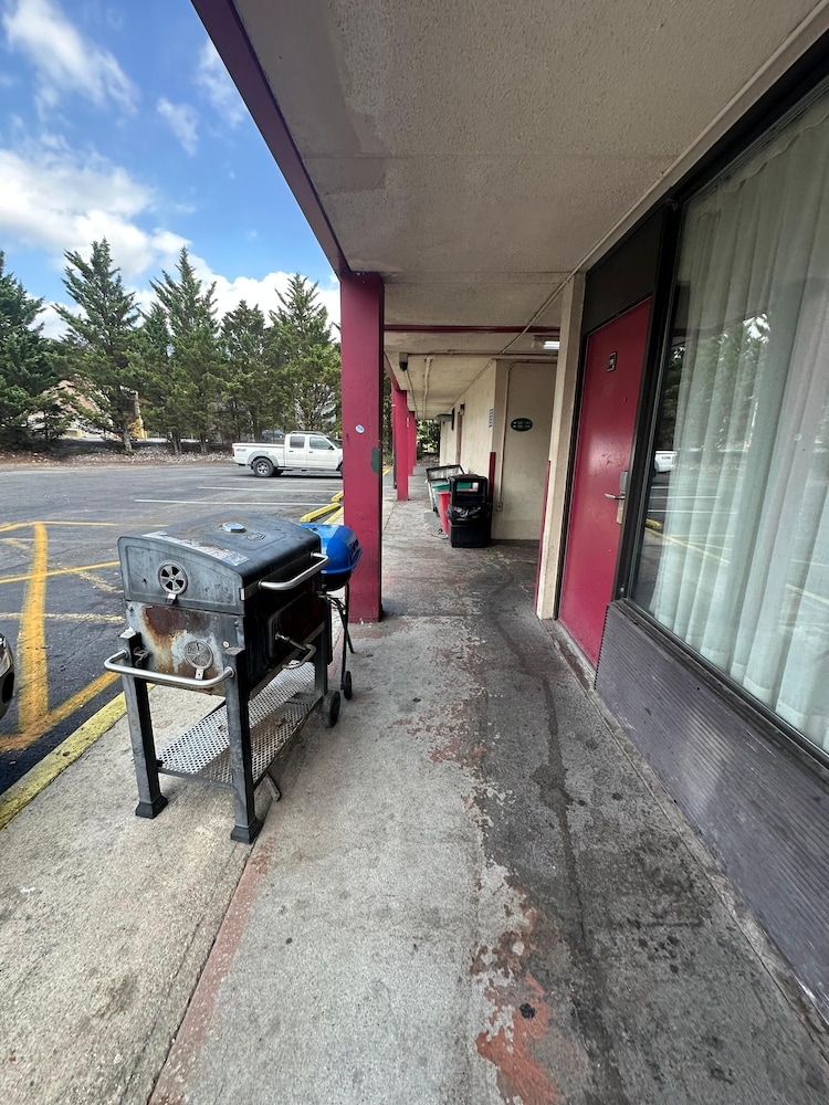 BBQ/피크닉 공간