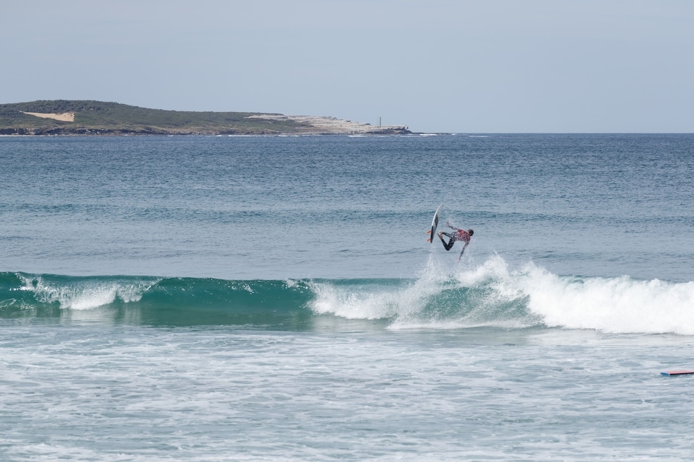 서핑/부기 보드