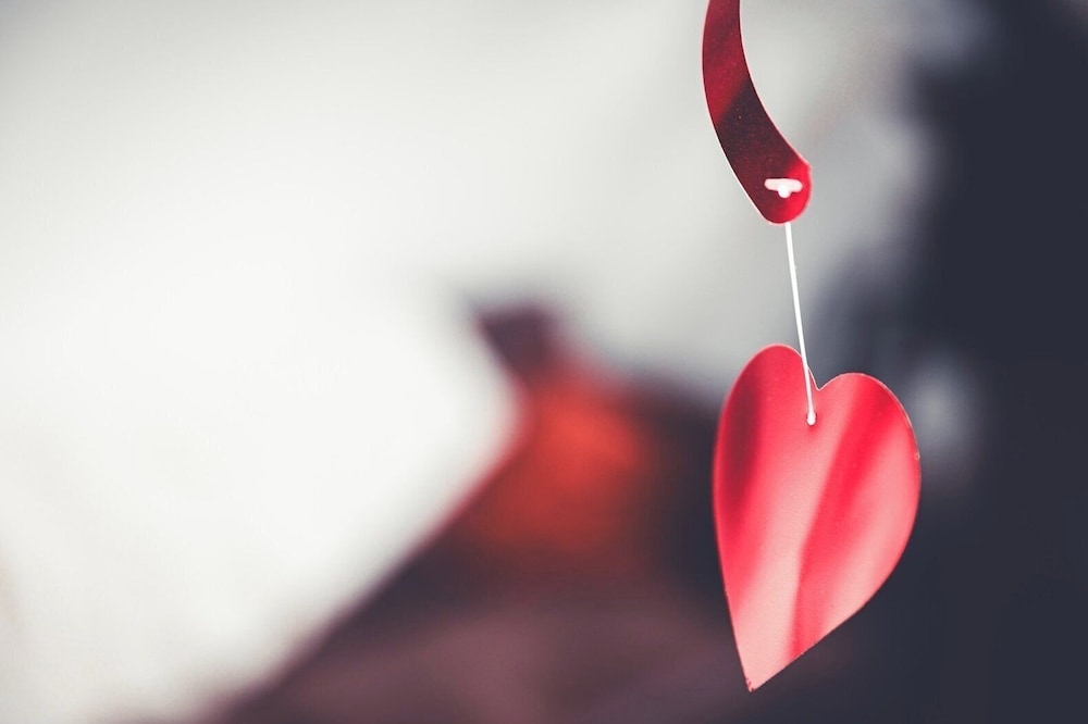 숙박 시설 정면 - 저녁/밤