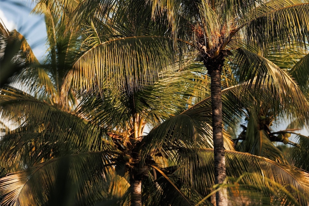 객실에서 보이는 전망