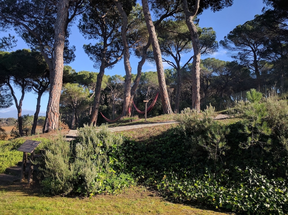 야외 연회 공간