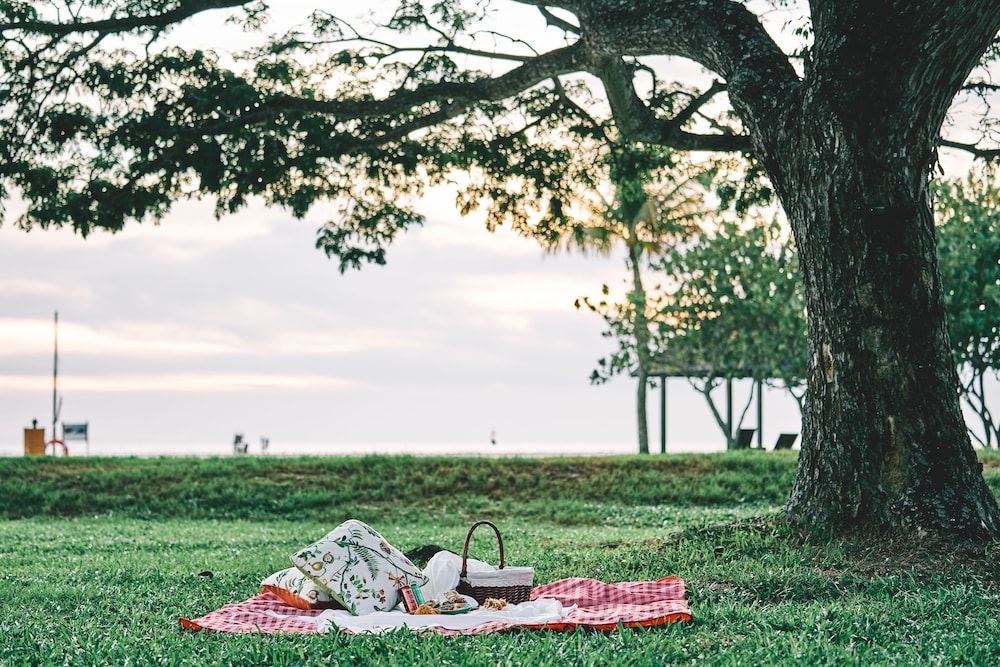 BBQ/피크닉 공간