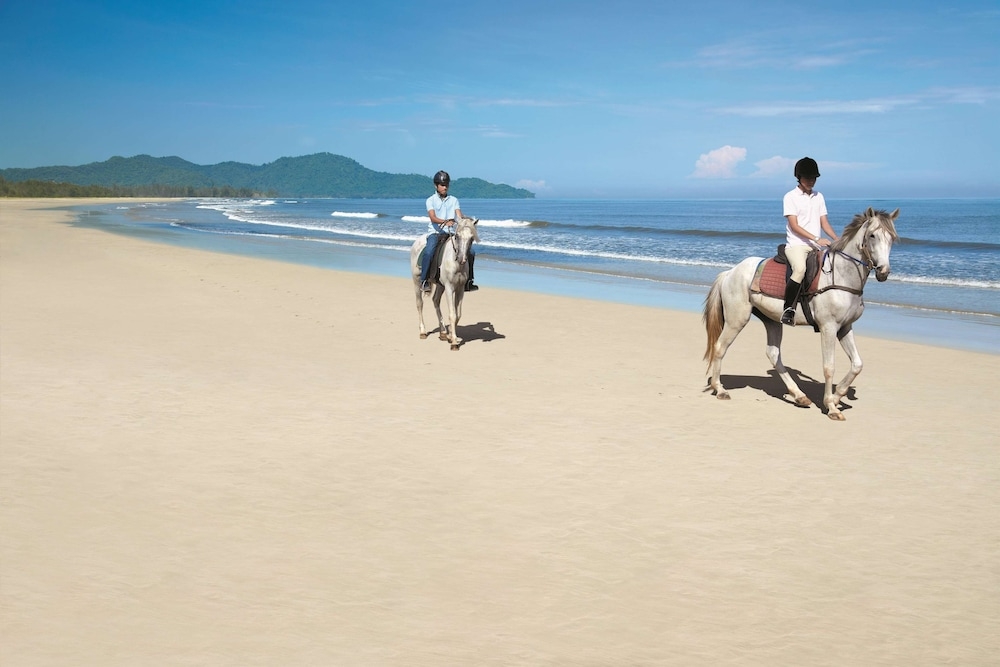 숙박 시설 내 편의 시설/서비스