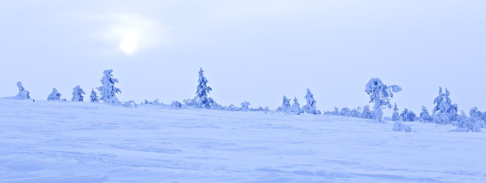 숙박 시설에서 보는 주변 전망