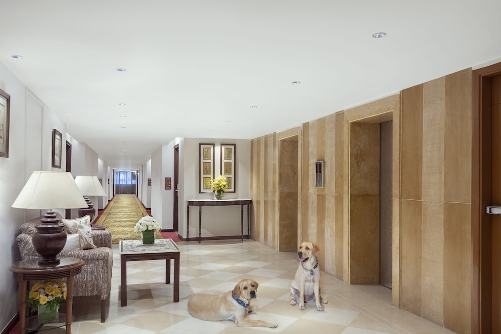 반려동물 동반 가능