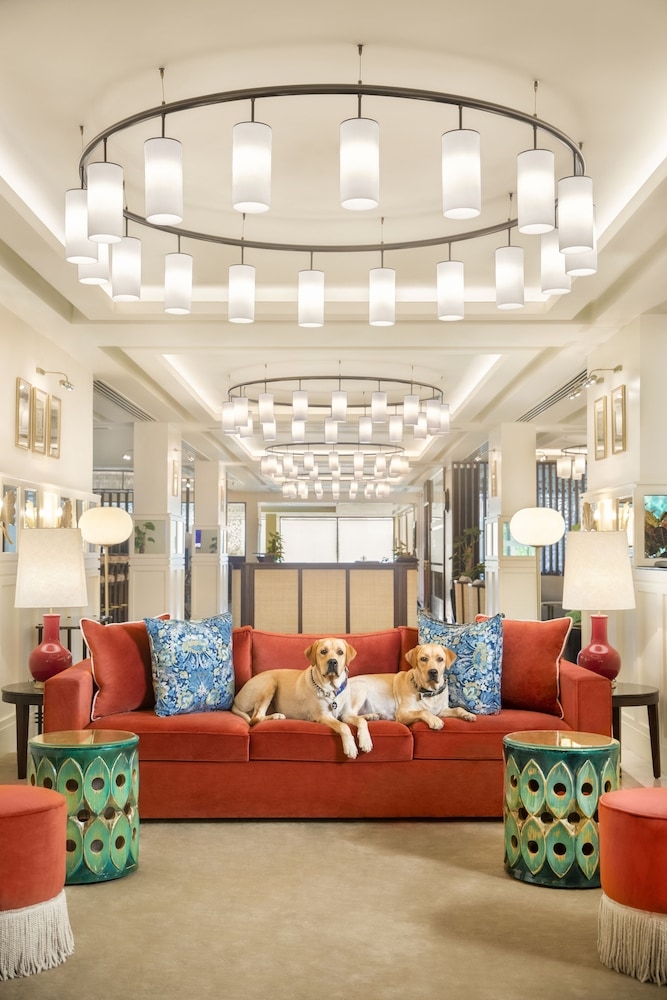 반려동물 동반 가능