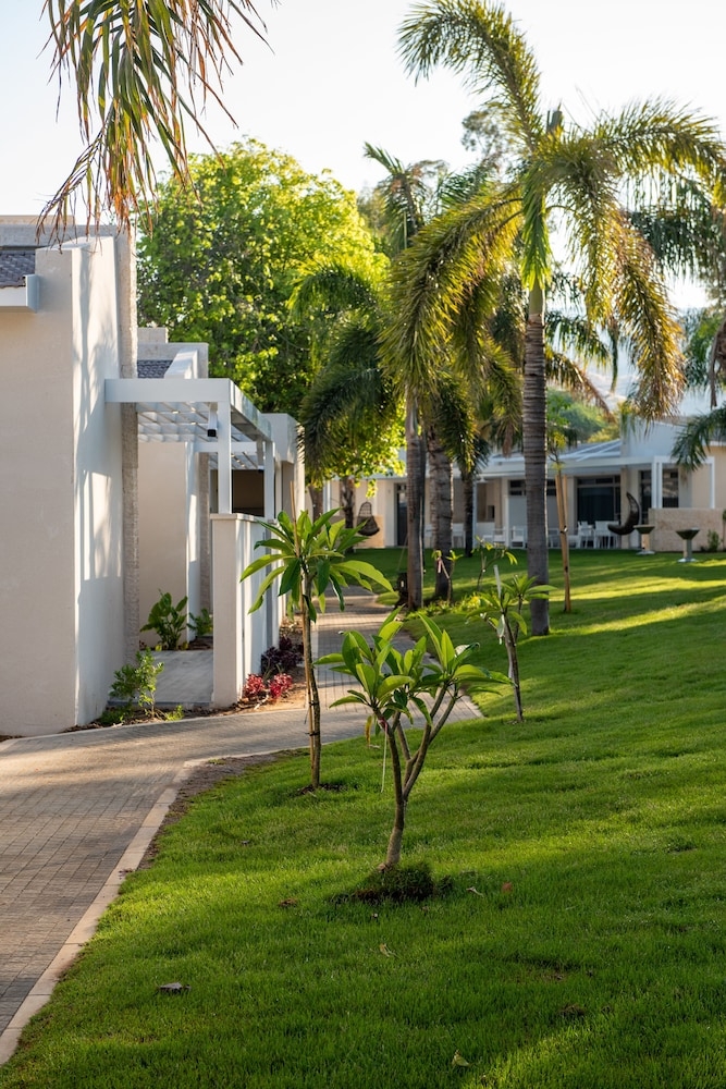 BBQ/피크닉 공간