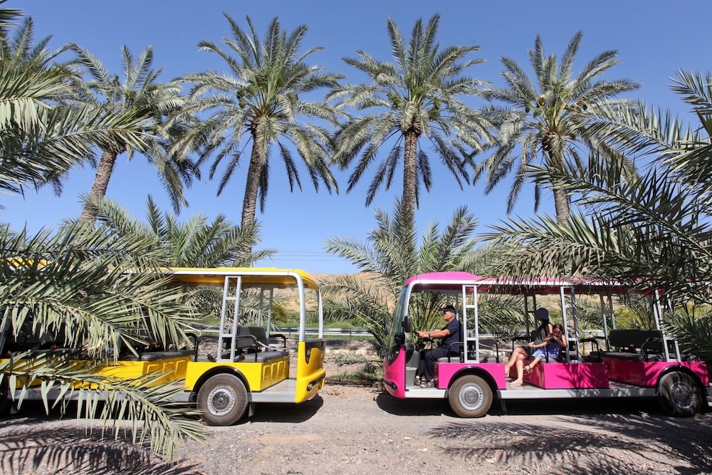 어린이 즐길거리