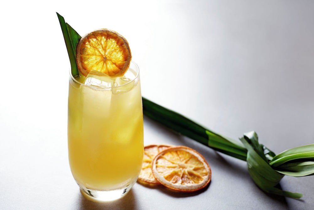 바(숙박 시설 내)