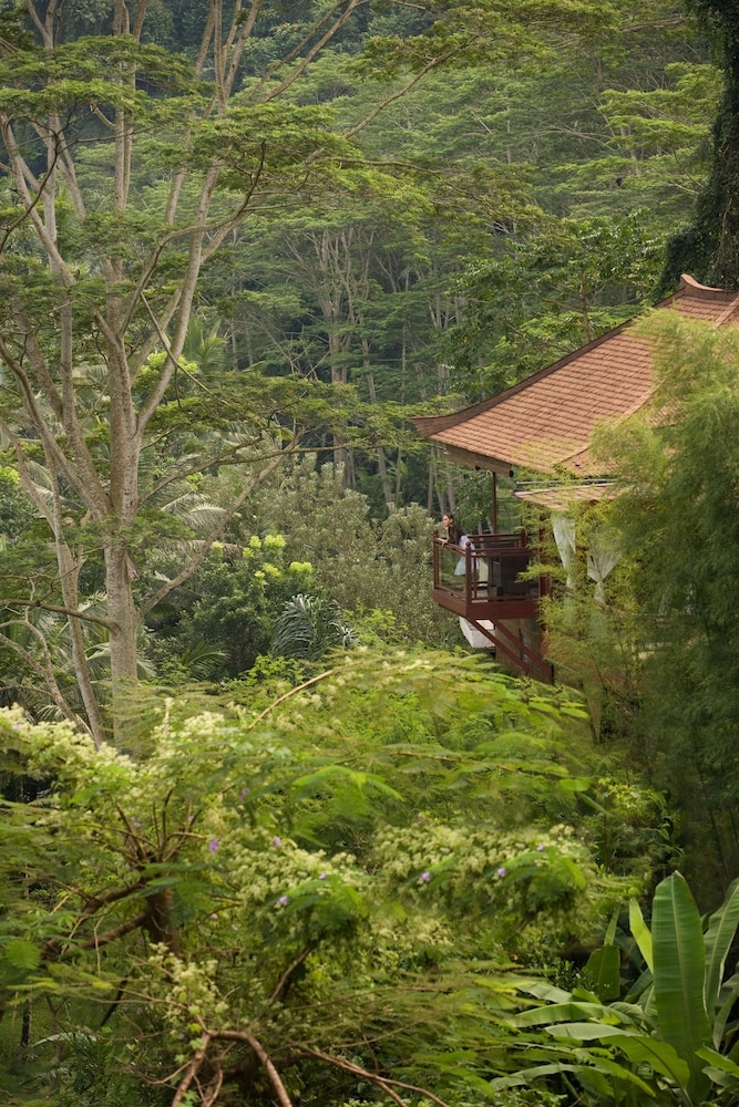 객실에서 보이는 전망