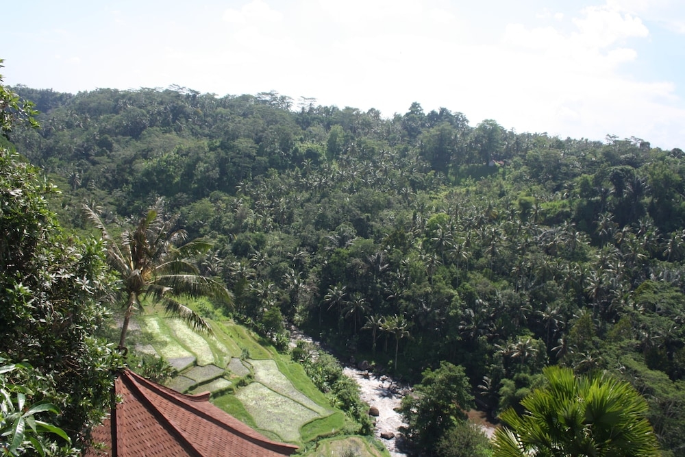 숙박 시설의 전망