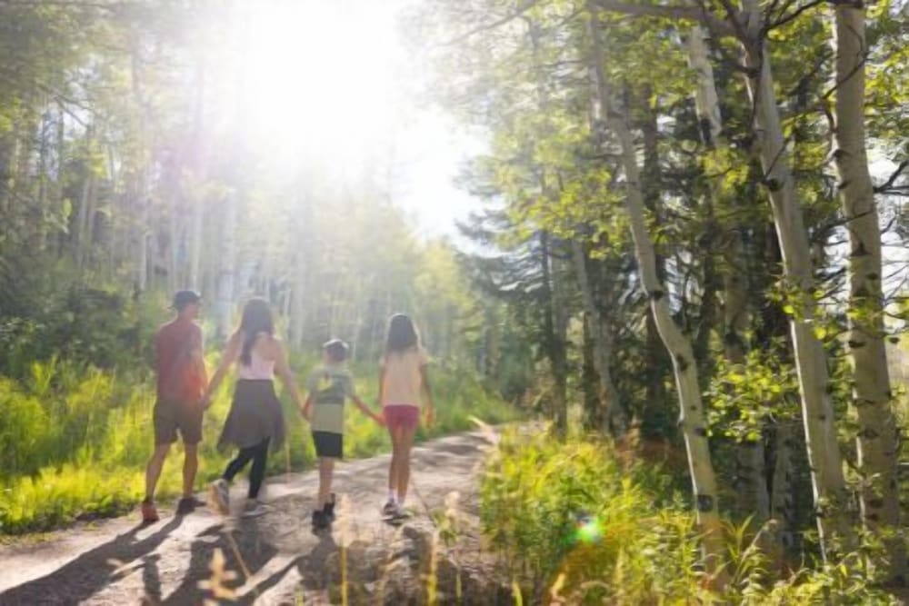 숙박 시설 내 편의 시설/서비스