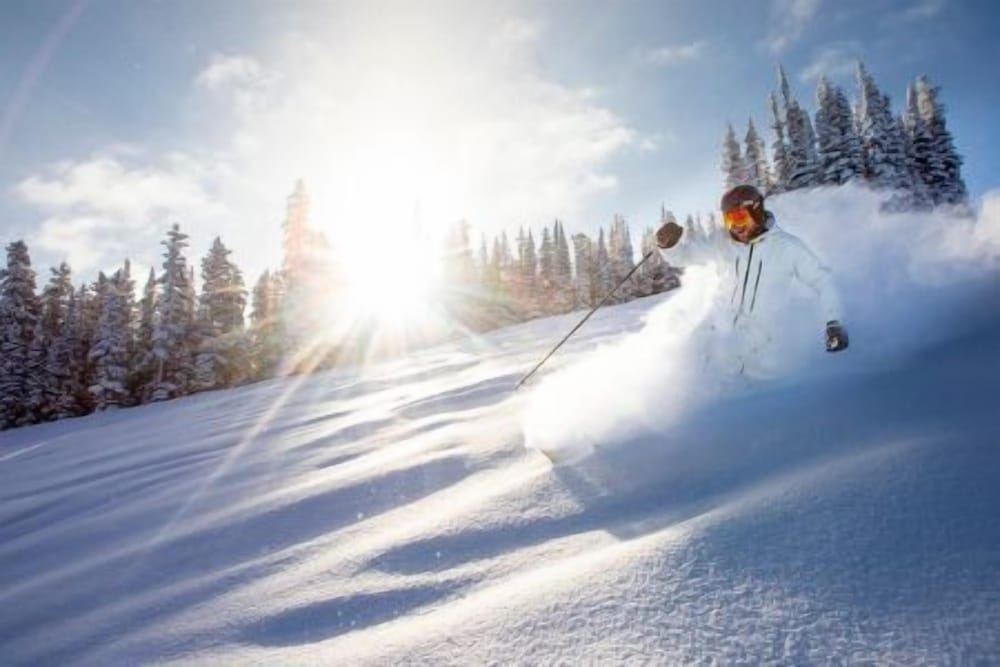 숙박 시설 내 편의 시설/서비스