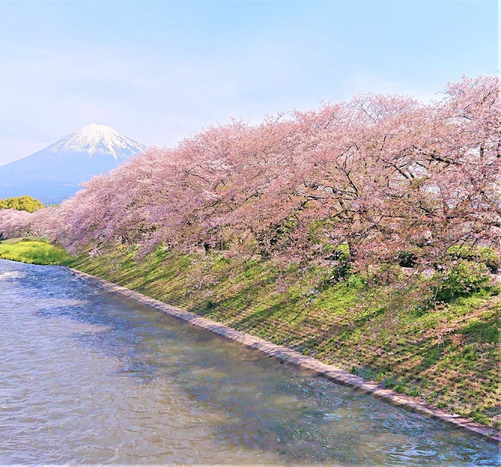 숙박 시설에서 보는 주변 전망