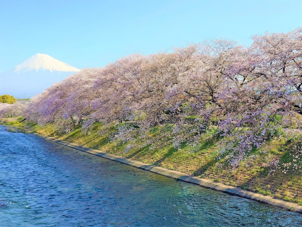 숙박 시설에서 보는 주변 전망