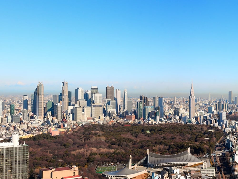 객실에서 보이는 전망