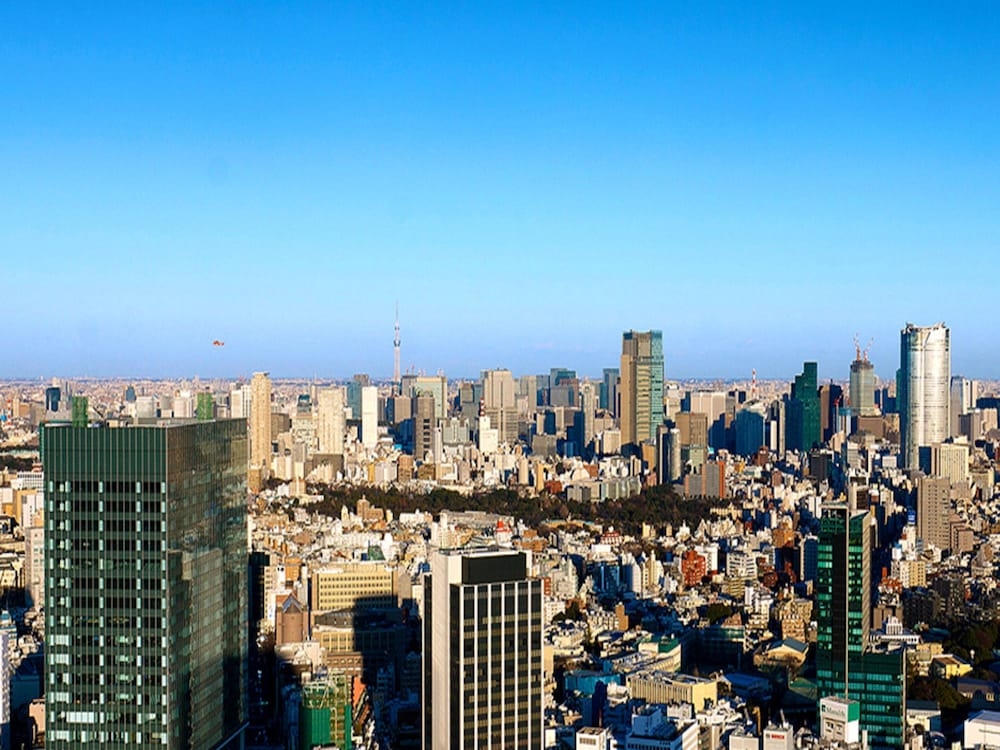 객실에서 보이는 전망