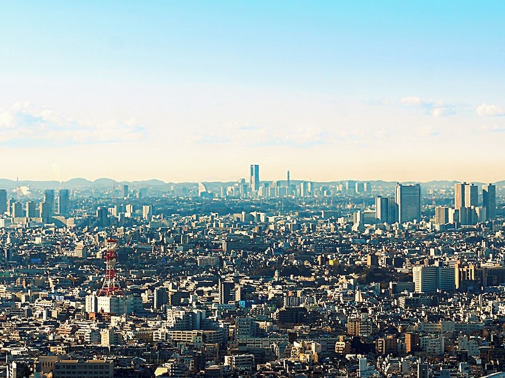 객실에서 보이는 전망