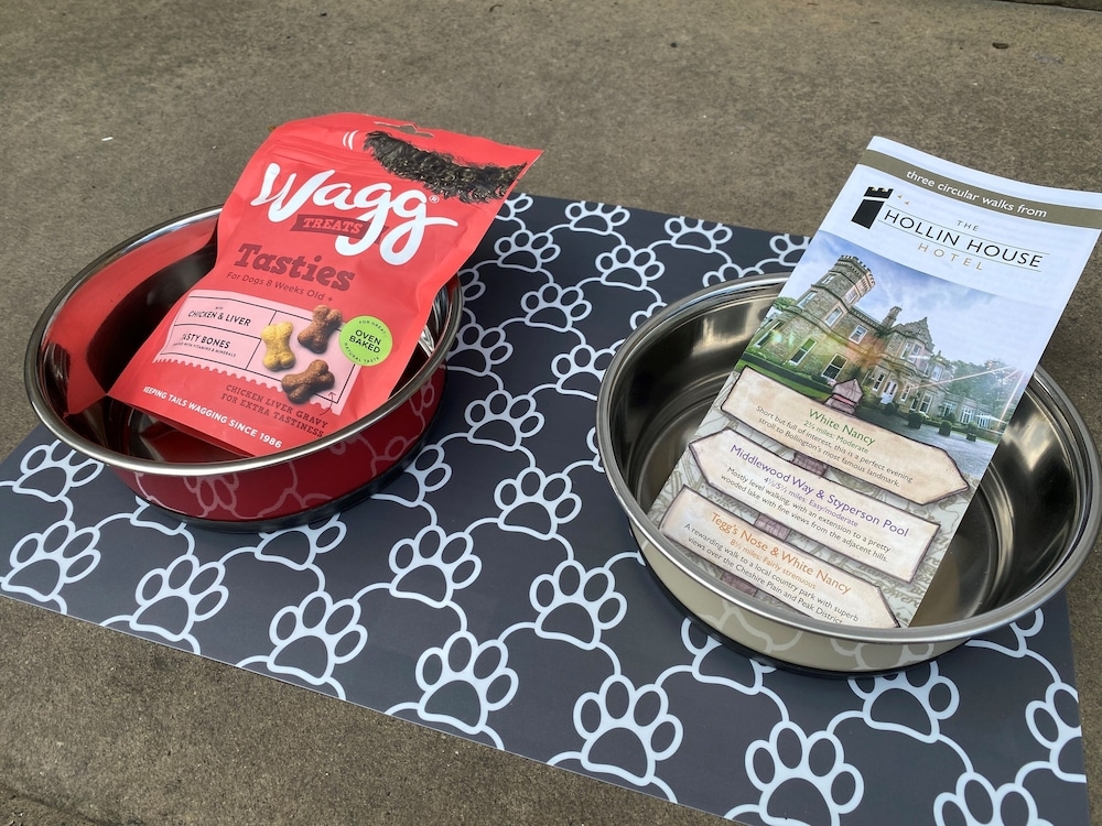 반려동물 동반 편의 시설