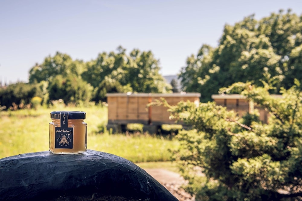 숙박 시설 내 편의 시설/서비스