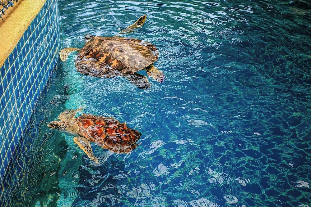 숙박 시설 내 편의 시설/서비스