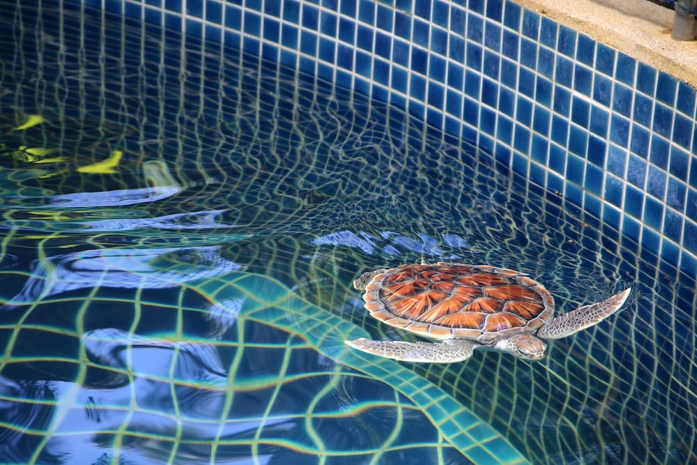 어린이 즐길거리