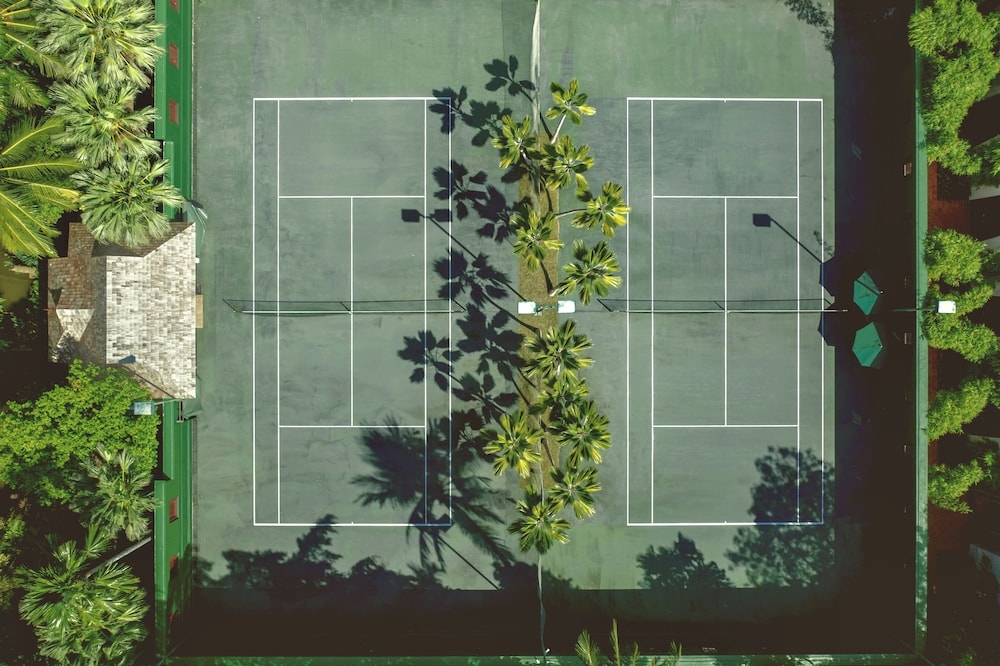 테니스 코트