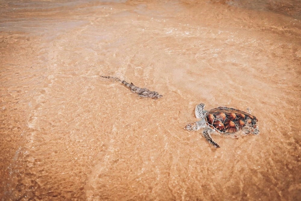 숙박 시설 내 편의 시설/서비스