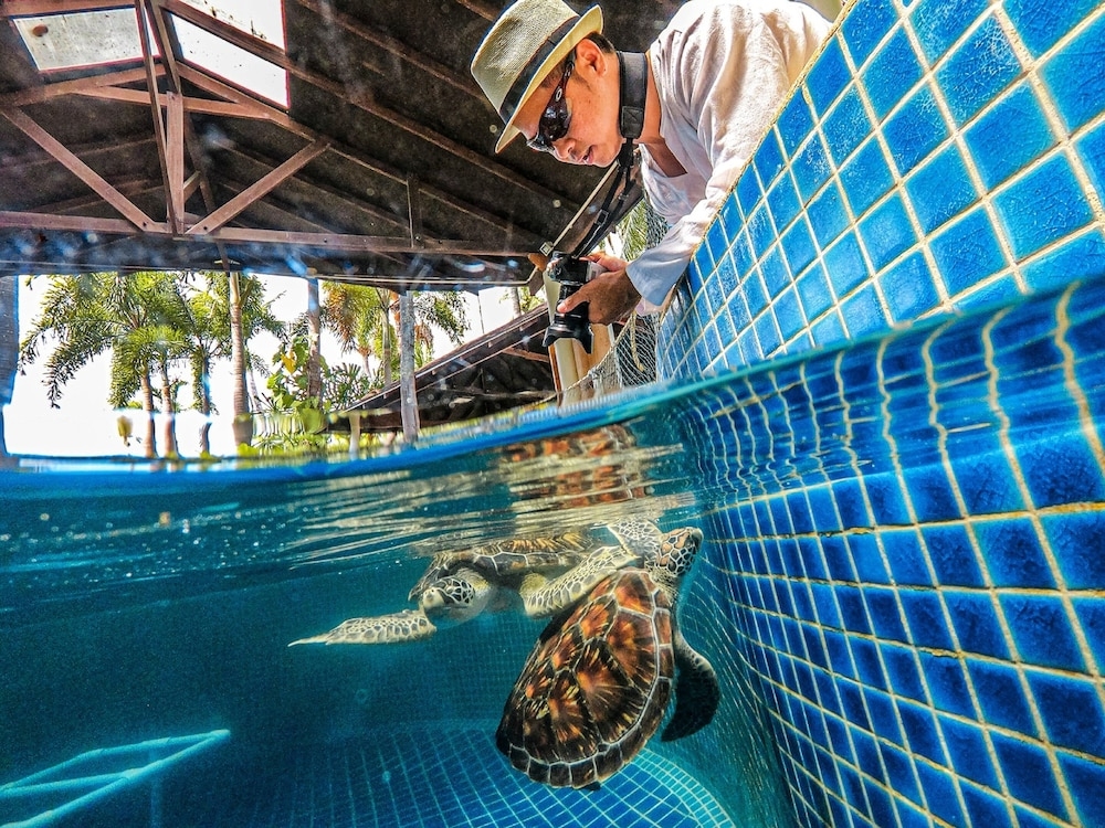 어린이 즐길거리