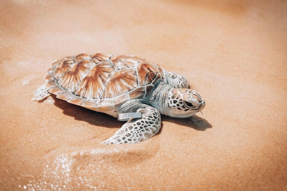 숙박 시설 내 편의 시설/서비스