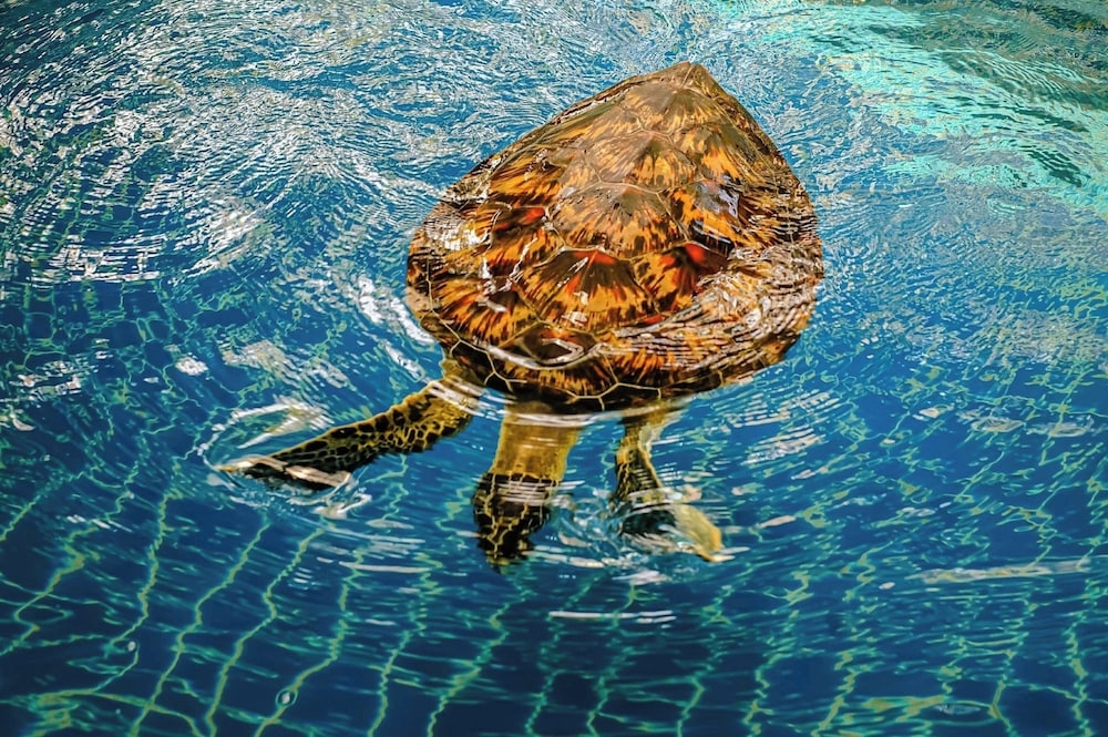 숙박 시설 내 편의 시설/서비스