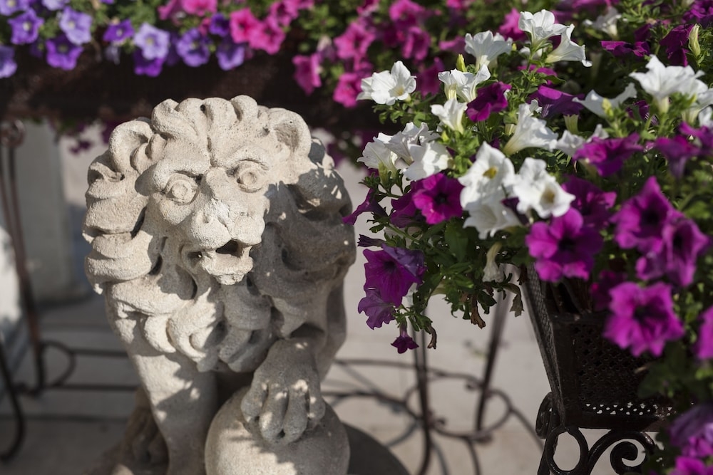 외부 세부 사진