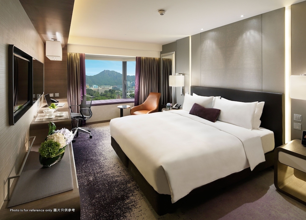 객실에서 보이는 전망