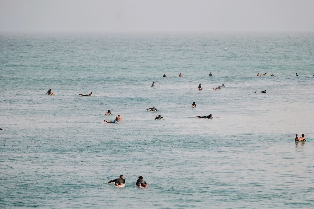 서핑/부기 보드