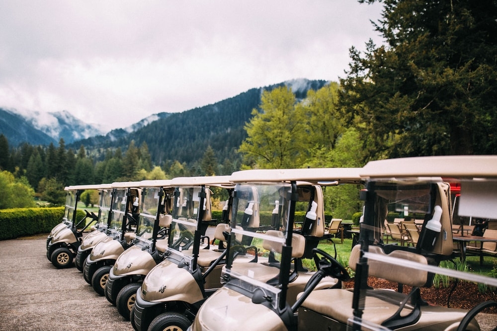 골프 카트