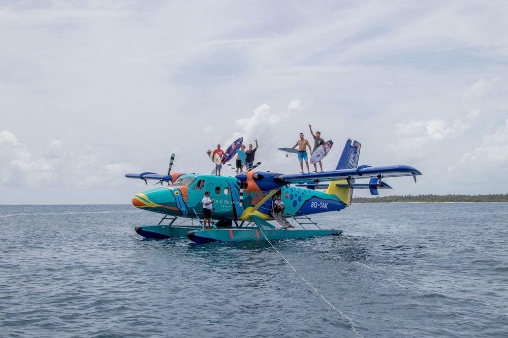 서핑/부기 보드