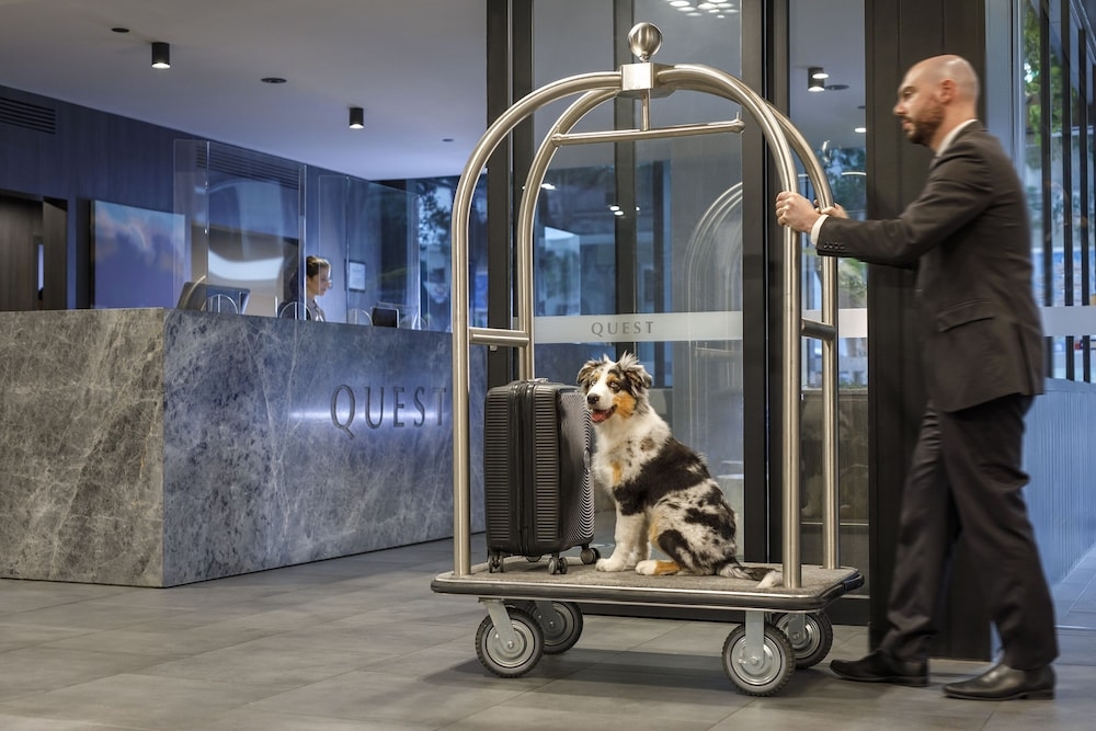 반려동물 동반 가능